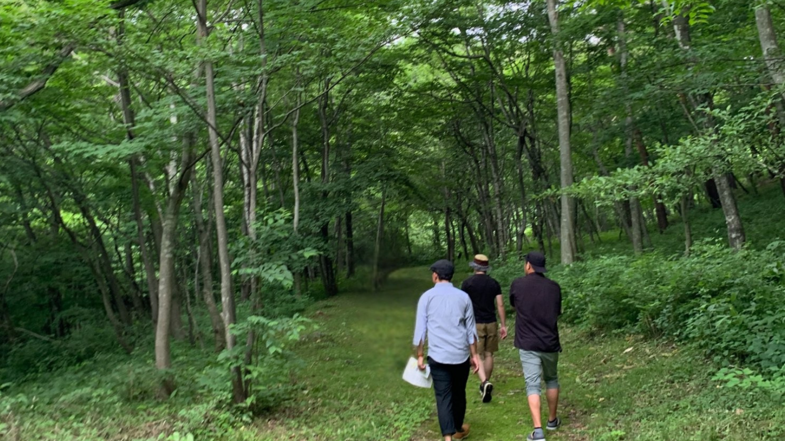 丸森の森の中を歩く人々の後ろ姿
