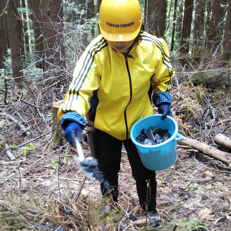 杉林の中で枝葉を片付ける作業の様子