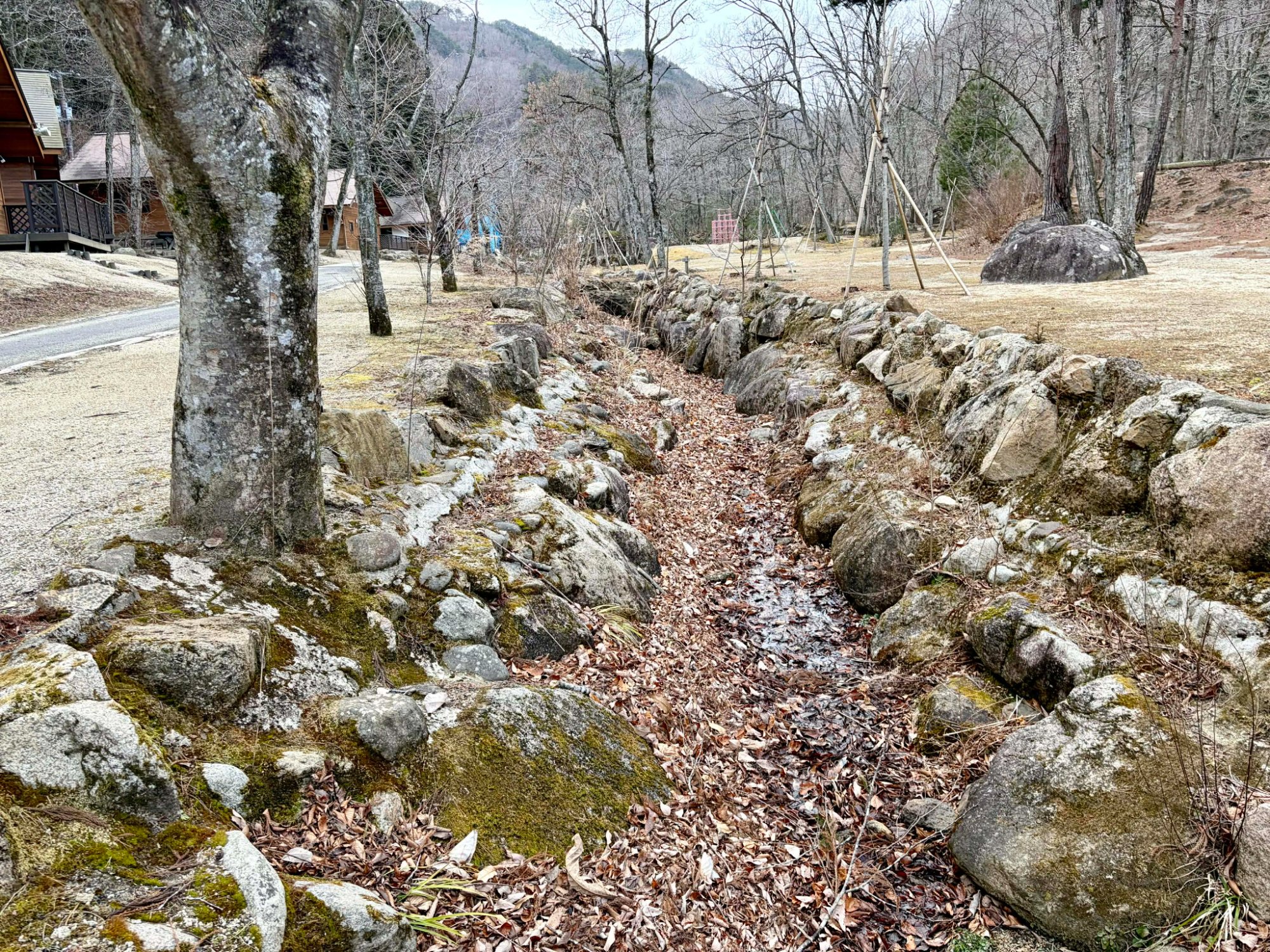 落ち葉が詰まった小川の水路
