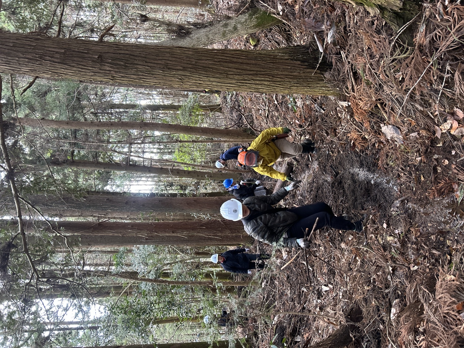 山のお手当てクエストでの作業風景